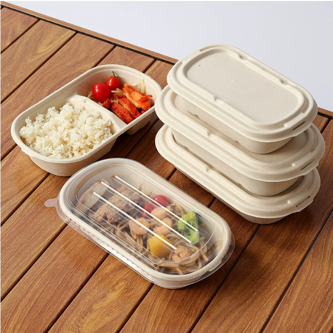 Compostable food container for light meal and salad bento packaging