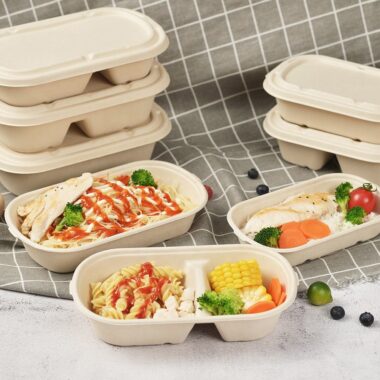 Compostable food container for light meal and salad bento packaging