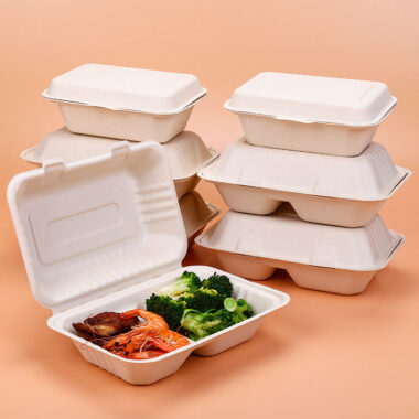 Compostable food container for light meal and salad bento packaging