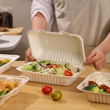 Compostable food container for takeaway salad and snacks