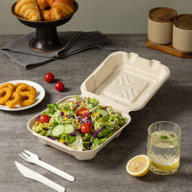 Compostable food container for takeaway salad and snacks