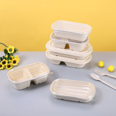 Compostable food container for takeaway and delivery packaging