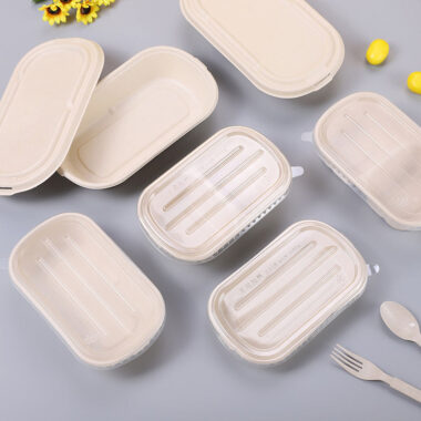 Compostable food container for takeaway and delivery packaging