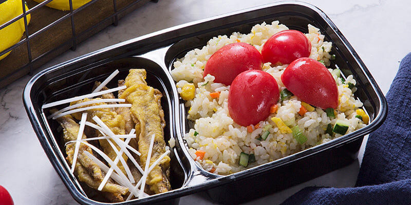 Plastic lunch container for fast food and picnic packaging