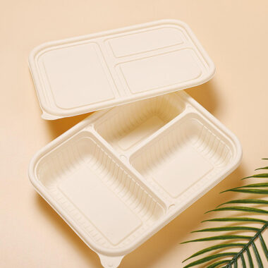 Compostable food container for office lunch and picnic use