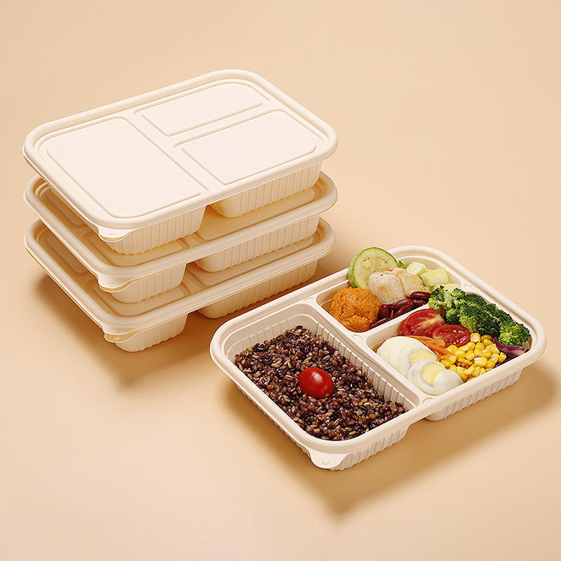 Compostable food container for office lunch and picnic use