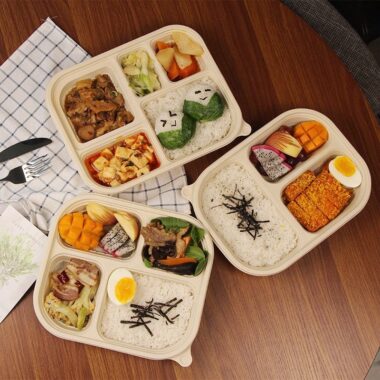 Compostable food container for office lunch and picnic use