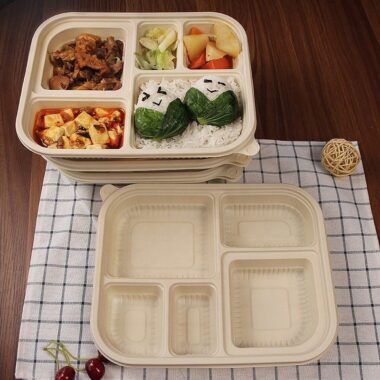 Compostable food container for office lunch and picnic use