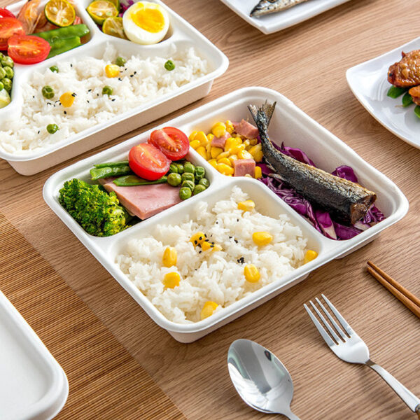 Compostable food container for office lunch and picnic use