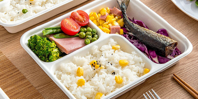 Compostable food container for office lunch and picnic use