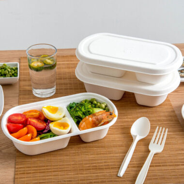 Compostable food container for office lunch and picnic use
