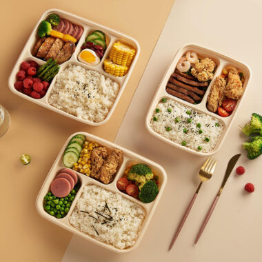 High-quality sustainable compostable food container for restaurants