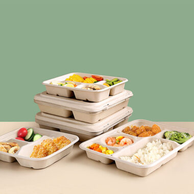 High-quality sustainable compostable food container for restaurants