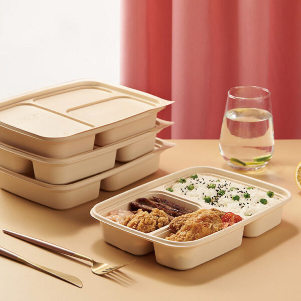 High-quality sustainable compostable food container for restaurants