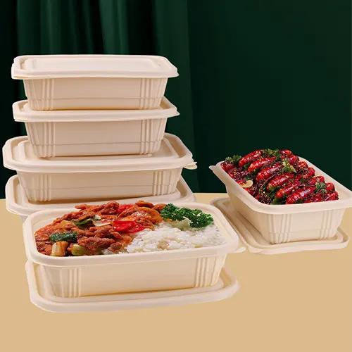 High-quality sustainable compostable food container for restaurants