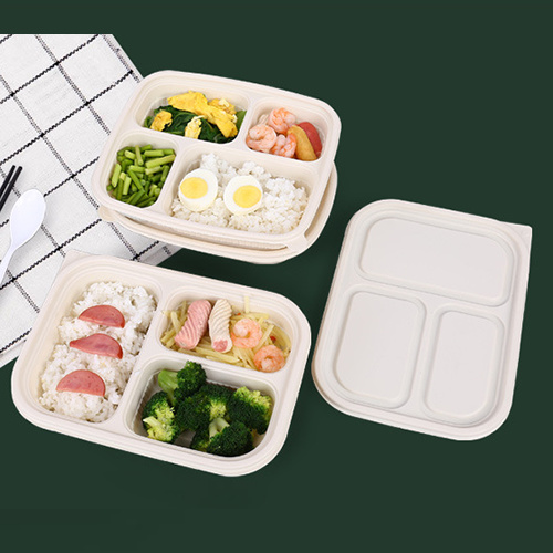 High-quality sustainable compostable food container for restaurants
