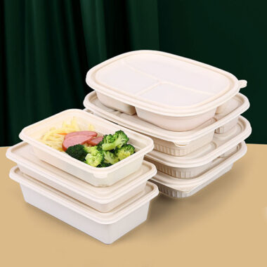 High-quality sustainable compostable food container for restaurants