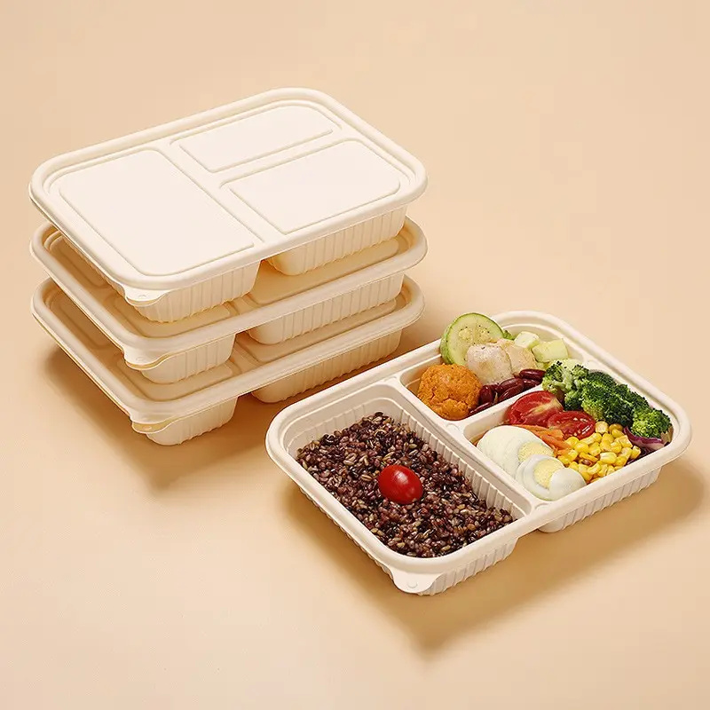 High-quality sustainable compostable food container for restaurants
