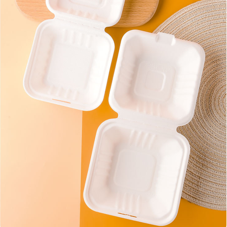 Sugarcane bagasse compostable food container for eco food packaging