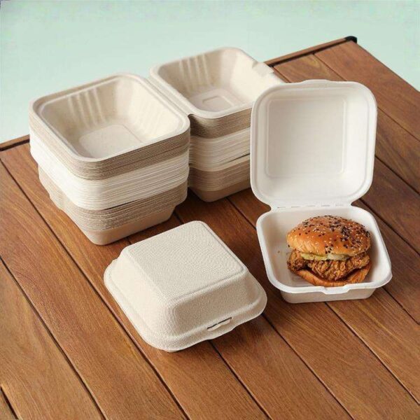 Sugarcane bagasse compostable food container for eco food packaging