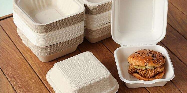 Sugarcane bagasse compostable food container for eco food packaging