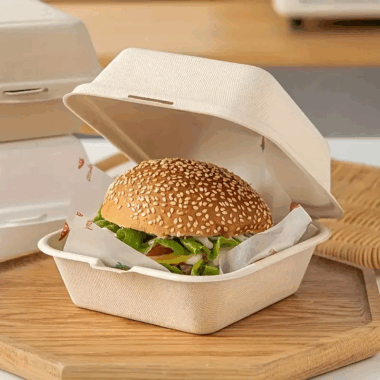 Sugarcane bagasse compostable food container for eco food packaging