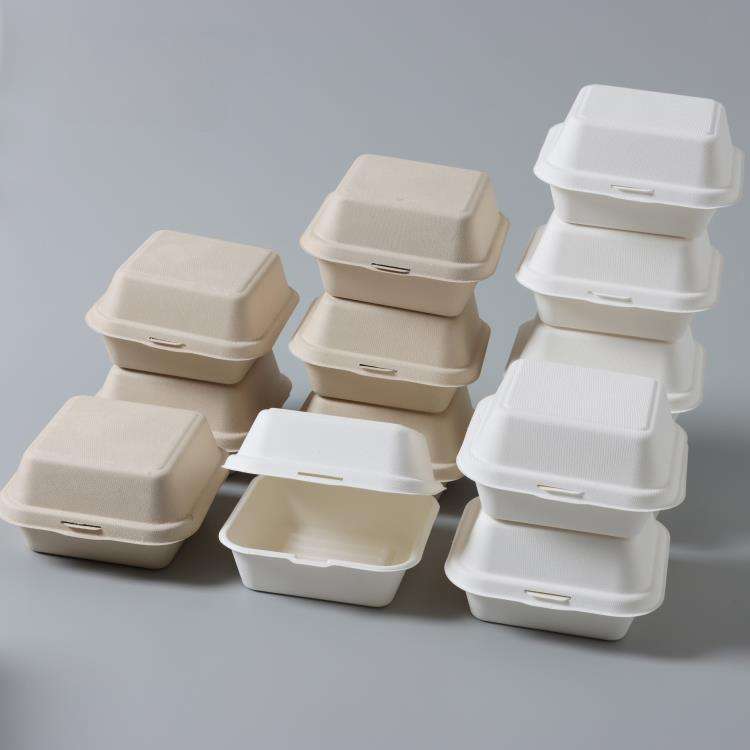 Sugarcane bagasse compostable food container for eco food packaging