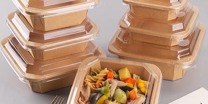 Food-grade paper salad takeaway container for restaurants and cafés